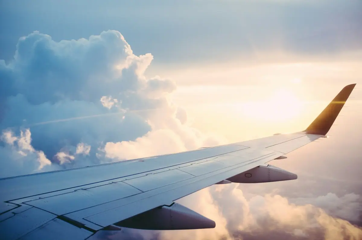 Longevity Travel